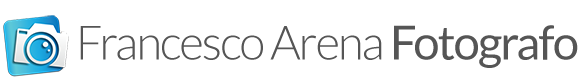 logo arena